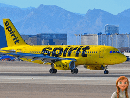 Spirit Airlines Customer Service Number GIF
