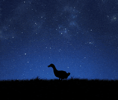 aliens ufo GIF by Aflac Duck