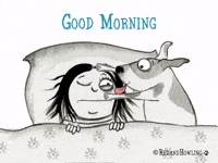Just Waking Up Gifs Get The Best Gif On Giphy