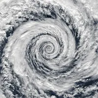 climate change season GIF by Feliks Tomasz Konczakowski