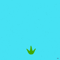 GIF