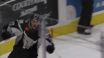 San Antonio Rampage Hockey GIF by sarampage