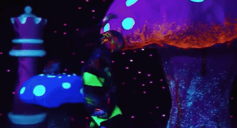 Giphy