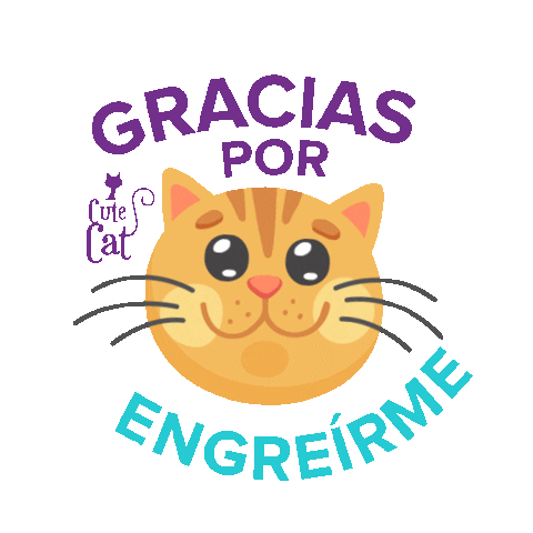 CuteCat Sticker