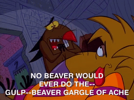 nickrewind nicksplat angry beavers GIF