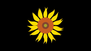 Flowers GIF