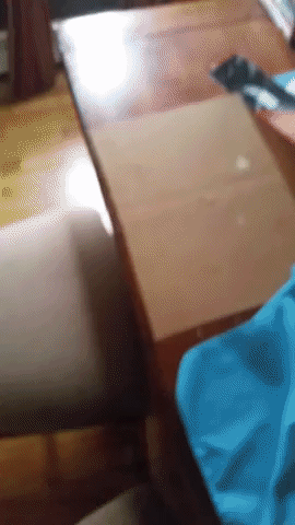 jellies idk derp sao deface GIF