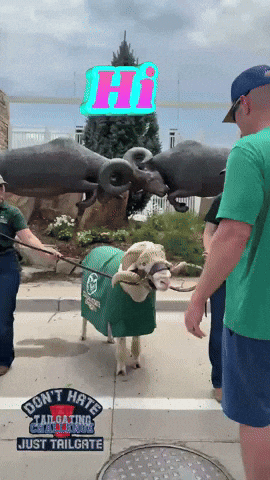 Cam Hello GIF by Tailgating Challenge