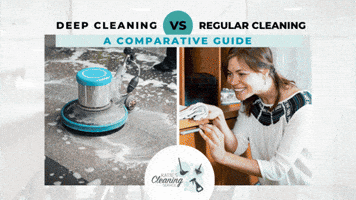 Cleaning Services GIF