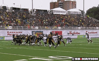 wind GIF by SB Nation