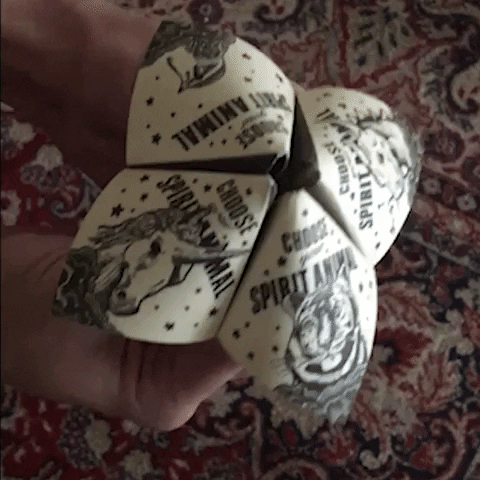 Fortune Teller Cootie Catcher GIF by wrybaby