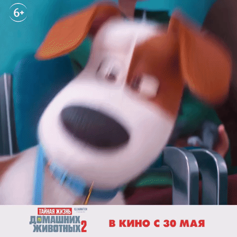 Illumination Universalpictures GIF