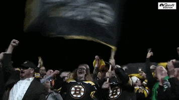 nbcsboston patriots pats stanley cup playoffs bs GIF
