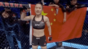 Sport Mma GIF by UFC
