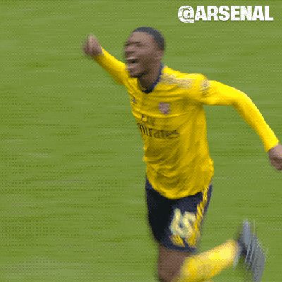Celebrate Premier League GIF by Arsenal