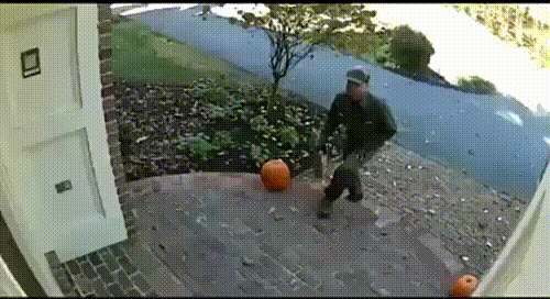 giphy.gif?cid=8fc3c897a735b8ac3888798db9