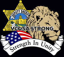 VCDSA911 unity lion badge ventura GIF