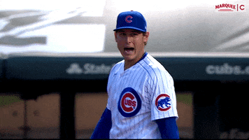 Cubs Rizzo GIF by Marquee Sports Network