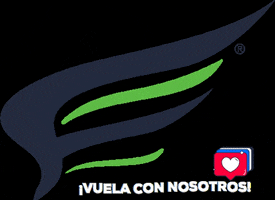 Flight Center Instituto de aviación GIF