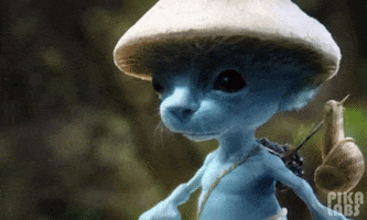 Blue Cat GIF by Justin