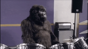 Drums Drummer GIF by Audio Network