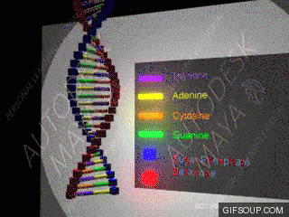 dna
