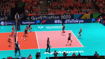 200.gif?cid=fc005b08758de6f3cae3b44db4d4655e9465a04cc4e93e99&rid=200.gif&ct=g