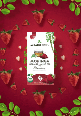Miracle Tree GIF