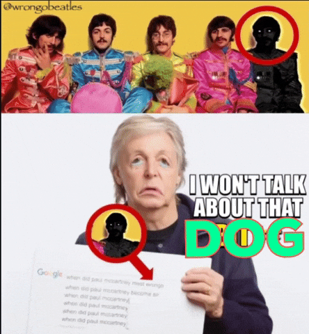 Paul Mccartney Dog GIF