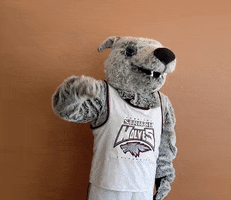 Look Down Wolf Pack GIF by Cardinal Stritch University