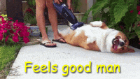 Feels Good Man Gifs Get The Best Gif On Giphy Feels Good Man Gifs Get The Best Gif On Giphy