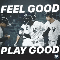 Yankees Judge GIF by Bronx Pinstripes