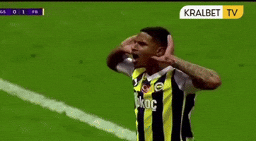 Oosterwolde GIF by Kralbet TV