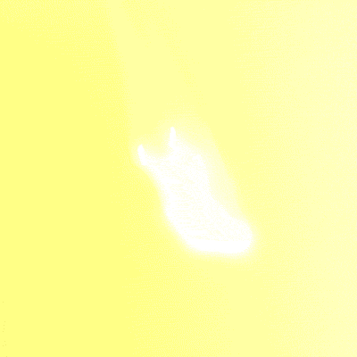 animation