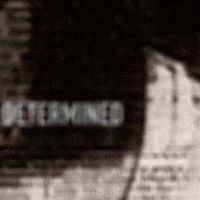 200.gif?cid=fc005b082aad673daac7c841b7fd9fa37a26ea8715600ab3&rid=200.gif&ct=g