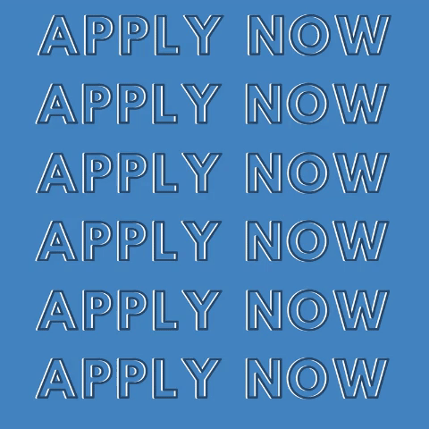 Applynow Vfa GIF by Venture for America