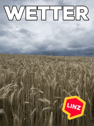 Dark Sky GIF by Linz News