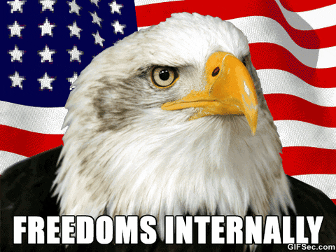 usa, america, flag, freedom, eagle, independence day, july 4 – GIF