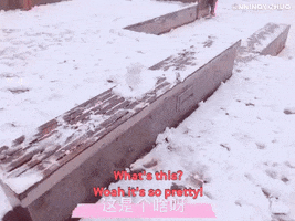 Yiyang GIF