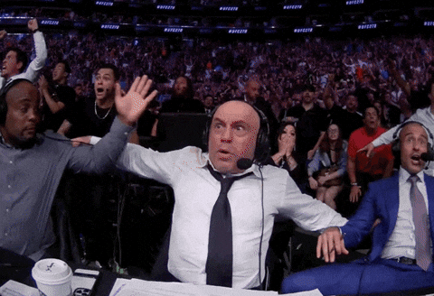 Giphy - Mixed Martial Arts Wow GIF by UFC