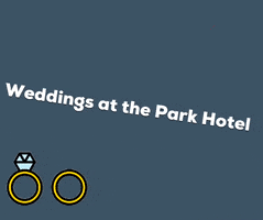 Weddings GIF by parkhoteldungarvan