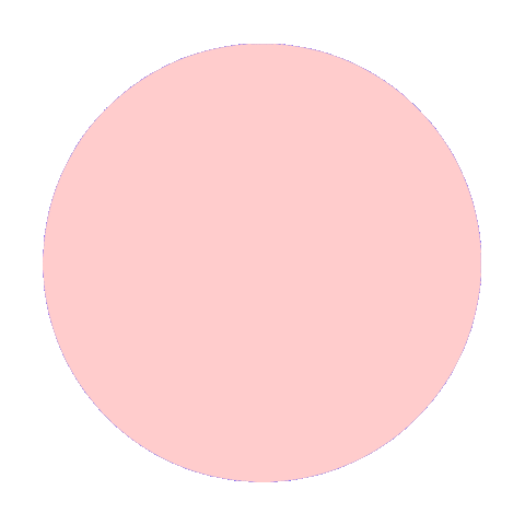RIBOCA Sticker