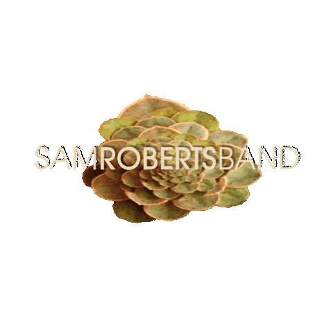 Sticker by Sam Roberts Band