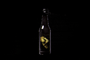 Craft Beer GIF by Nao Beer