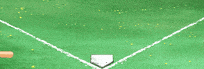 Backyard Baseball GIF by BACKYARD SPORTS
