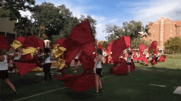 College Gold GIF by Florida State University