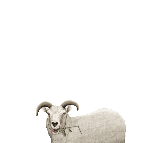 Happy Look Sticker by EliskaP