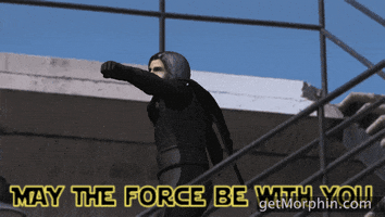 Star Wars Fight GIF by Morphin