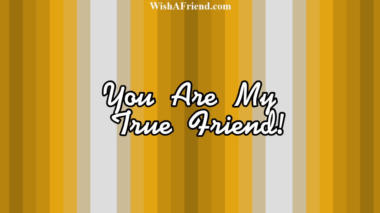 Best Friends Forever Friendship GIF by wishafriend Find & Share on GIPHY