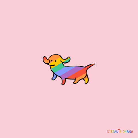gay pride dog GIF by Stefanie Shank